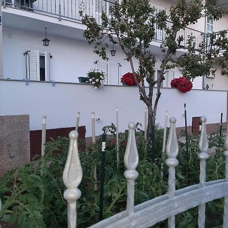 Apartment Bracic Vodice Exteriör bild